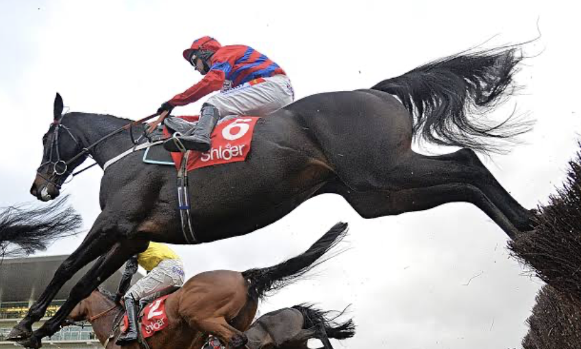 USASteeplechase's tweet photo. Pick One!
#Arkle #Flyingbolt #KautoStar #SprinterSacre https://t.co/rm2fUD49wM