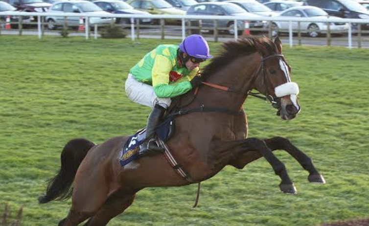 USASteeplechase's tweet photo. Pick One!
#Arkle #Flyingbolt #KautoStar #SprinterSacre https://t.co/rm2fUD49wM