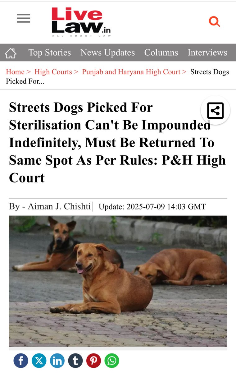 A huge win for community animals. 
Punjab &amp; Haryana HC reaffirms that sterilized street dogs cannot be relocated - they must be returned to their original territories. This isn't just legal - it’s scientific.
Let’s stand by the ABC Rules and protect our indies’ right to exist.