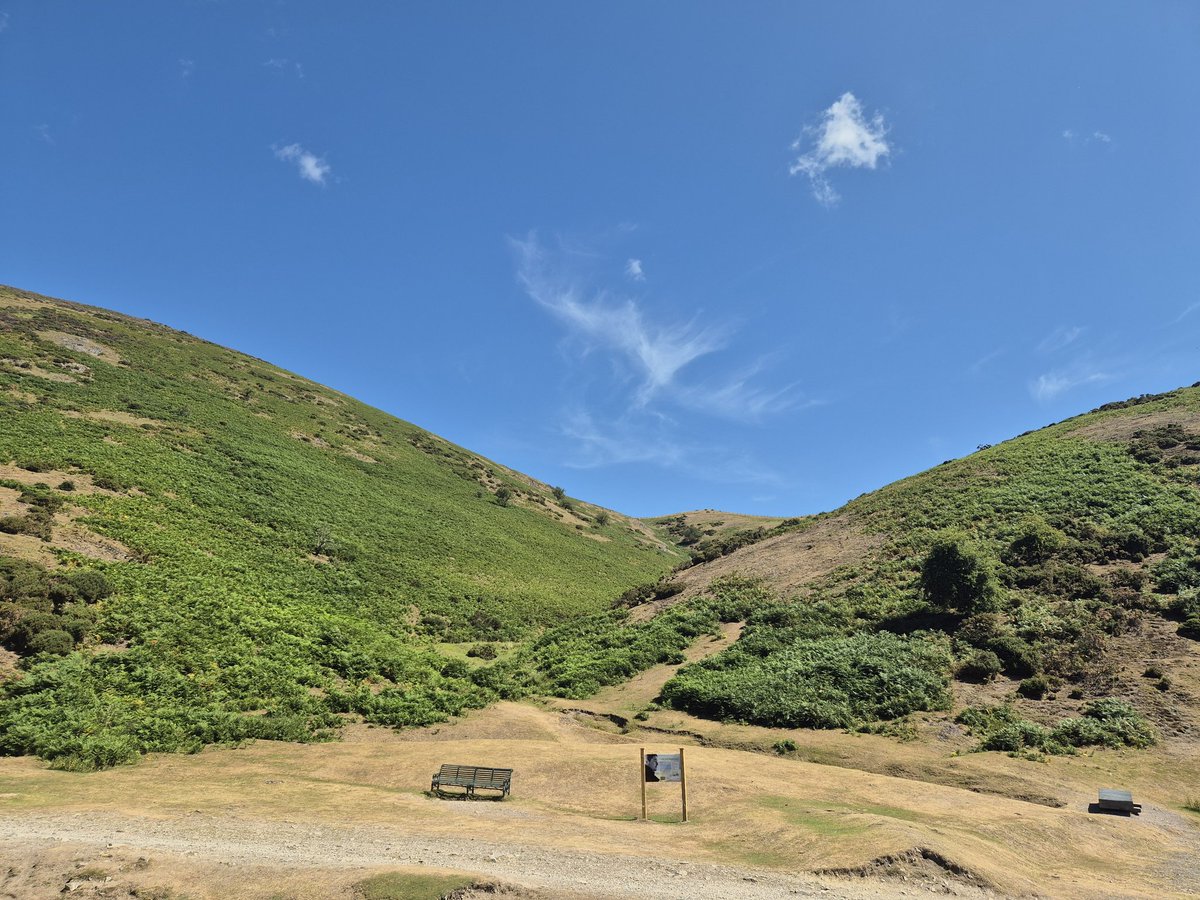 StreetlyRE tweet media