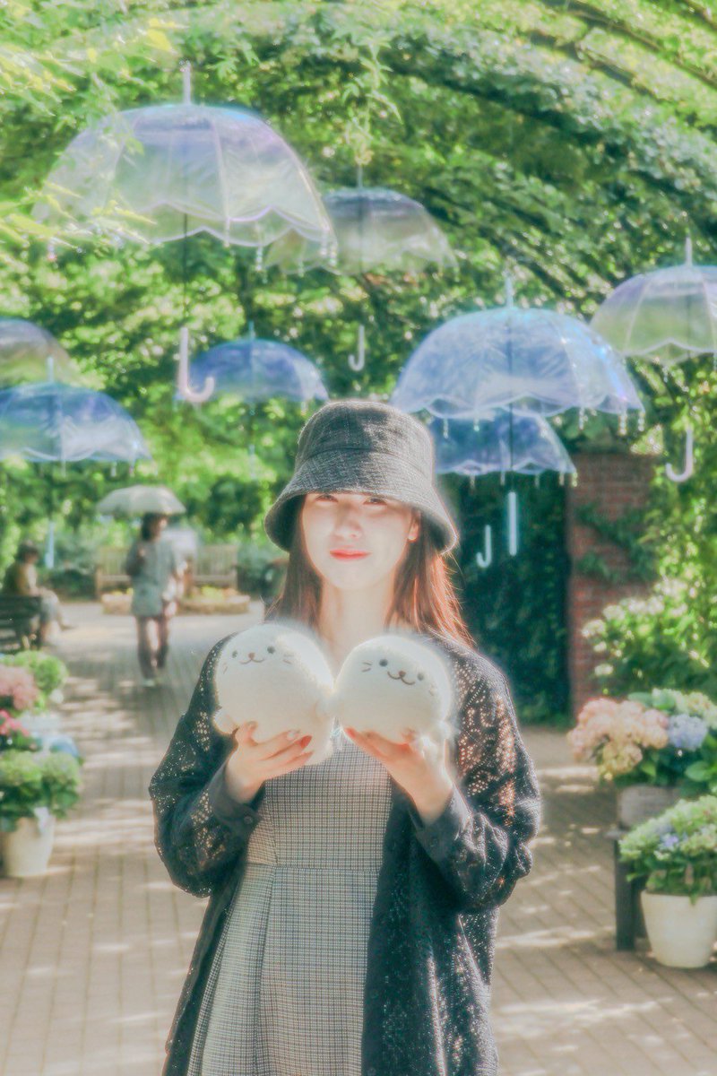 77777777777_2's tweet image. 飼い主の親友が撮ってくれた写真が良すぎる