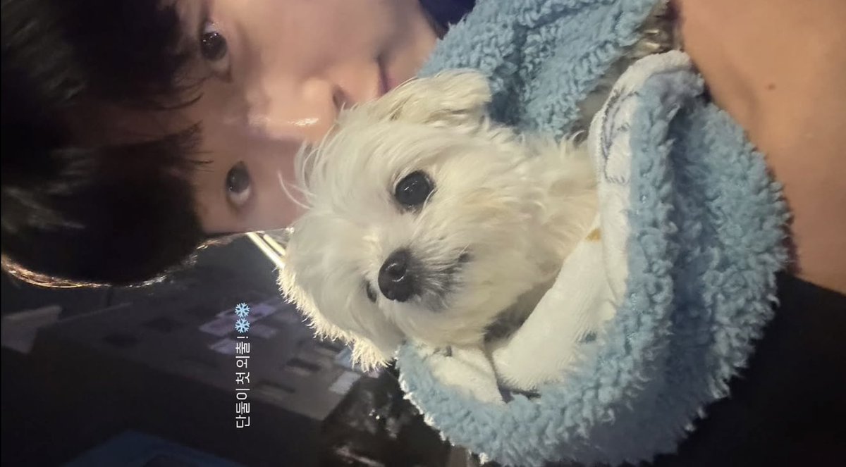 joddungee's tweet photo. 내가 응원하는 독수리 투수 68,.. https://t.co/pionpIK5tk