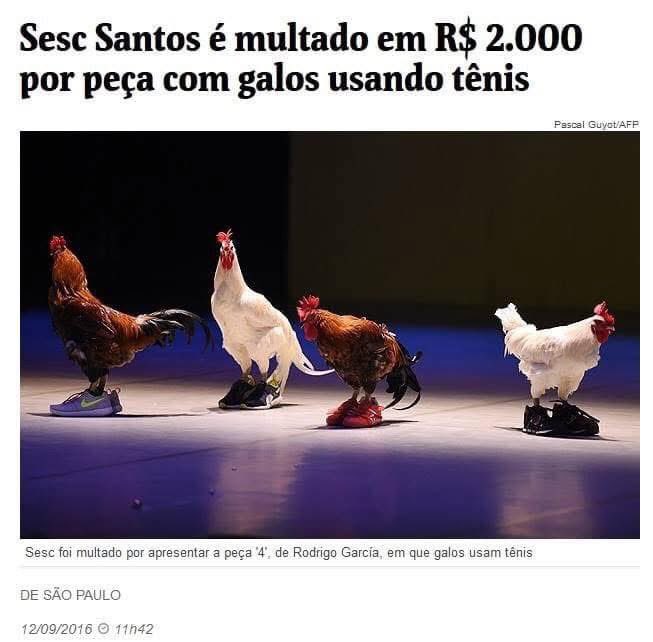 cachorrocore's tweet image. comer pode, mas botar tênis já é demais