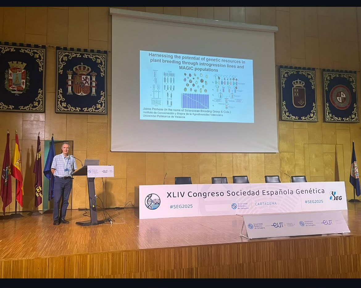Fantástico seminario de <a href="/ProhensJaime/">Jaime Prohens</a> sobre uso de líneas MAGIC para disección genética de caracteres complejos en #seg2025