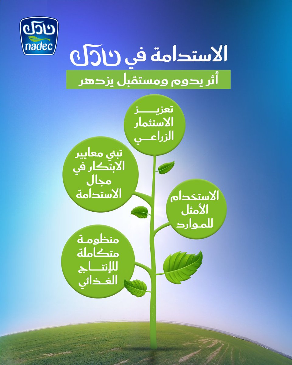 في #نادك، نؤمن أن الاستدامة هي طريقنا نحو مستقبل أكثر توازنًا وازدهارًا، ونواصل التزامنا بممارسات مسؤولة تترك أثرًا إيجابيًا للبيئة والمجتمع.