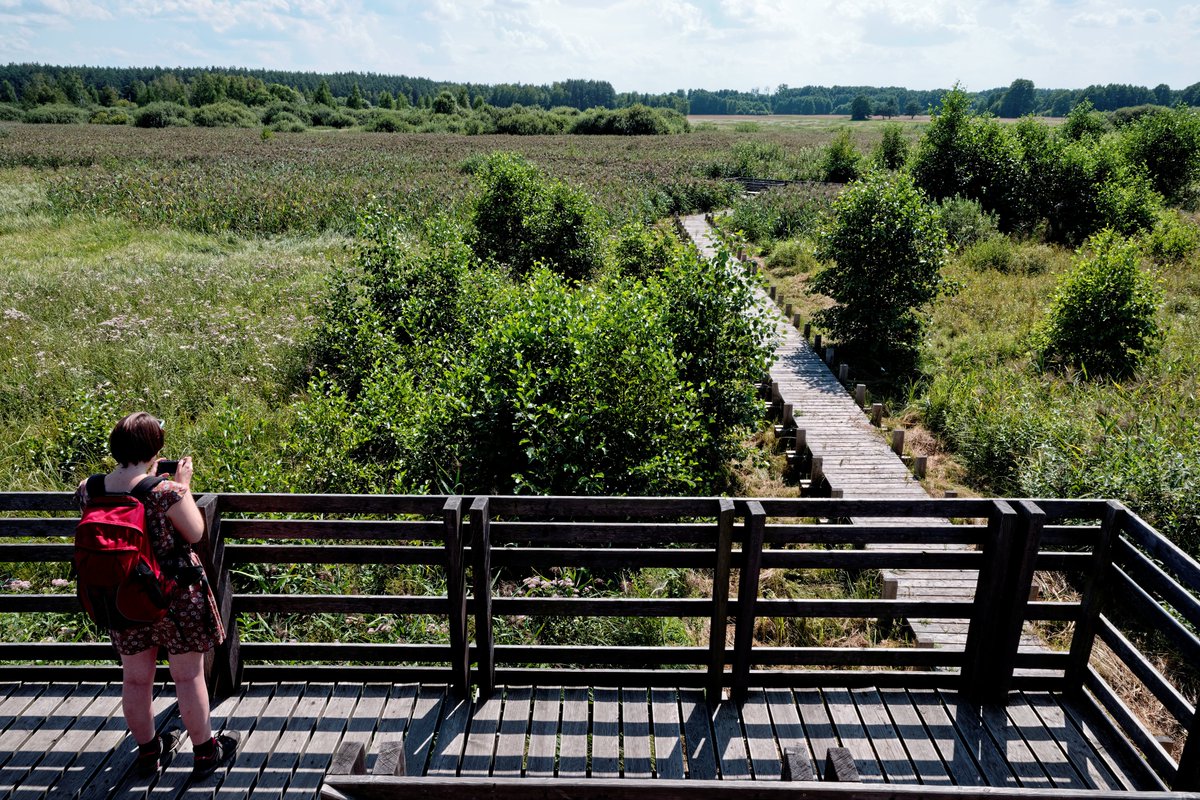 3,4 mln zł z Funduszy Europejskich dla Kampinoskiego Parku Narodowego! 🌳 Na polanie Truskaw postanie nowoczesne miejsce do wypoczynku dla turystów.

Zbudowany zostanie nowy szlak pomiędzy polaną Truskaw i Pociecha, pawilon obsługi ruchu turystycznego i kładka nad kanałem.

Poza
