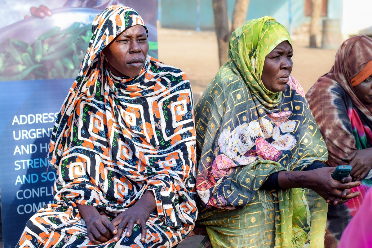 UNDP_Sudan's tweet image. When Razaz moved to rural Gedaref, there were no jobs, just land.
She learned to farm, formed an association of 30 women & joined a @UNDP project supported by @qatar_fund + @EAA_Foundation, helping deliver seeds, tools & training to over 20K families.
➡️ cutt.ly/9rUi585M