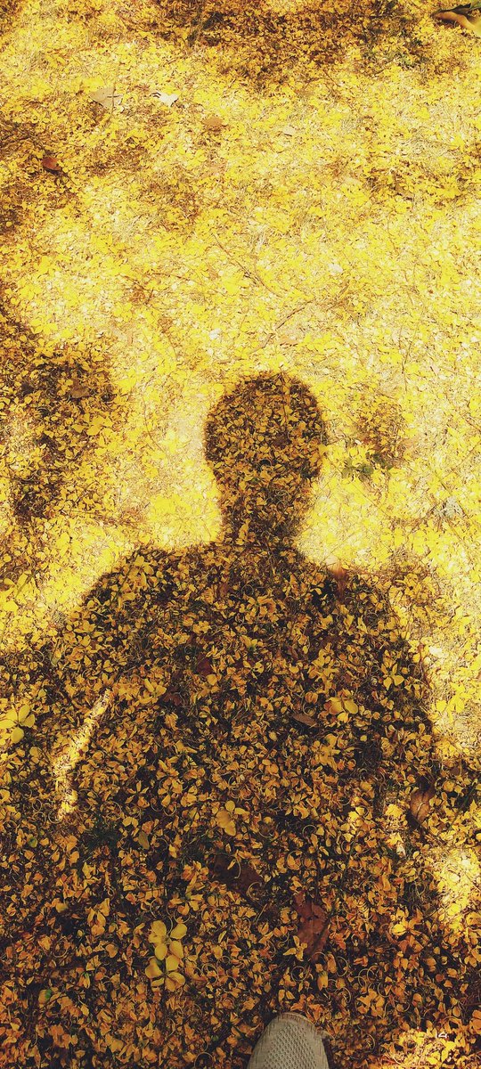 VegyPower's tweet photo. "Shall I not have intelligence with the earth? Am I not partly leaves and vegetable mould myself?" Thoreau
photo credit:
@HiraKirpal @KirpalHira https://t.co/Nlaklp0lf3