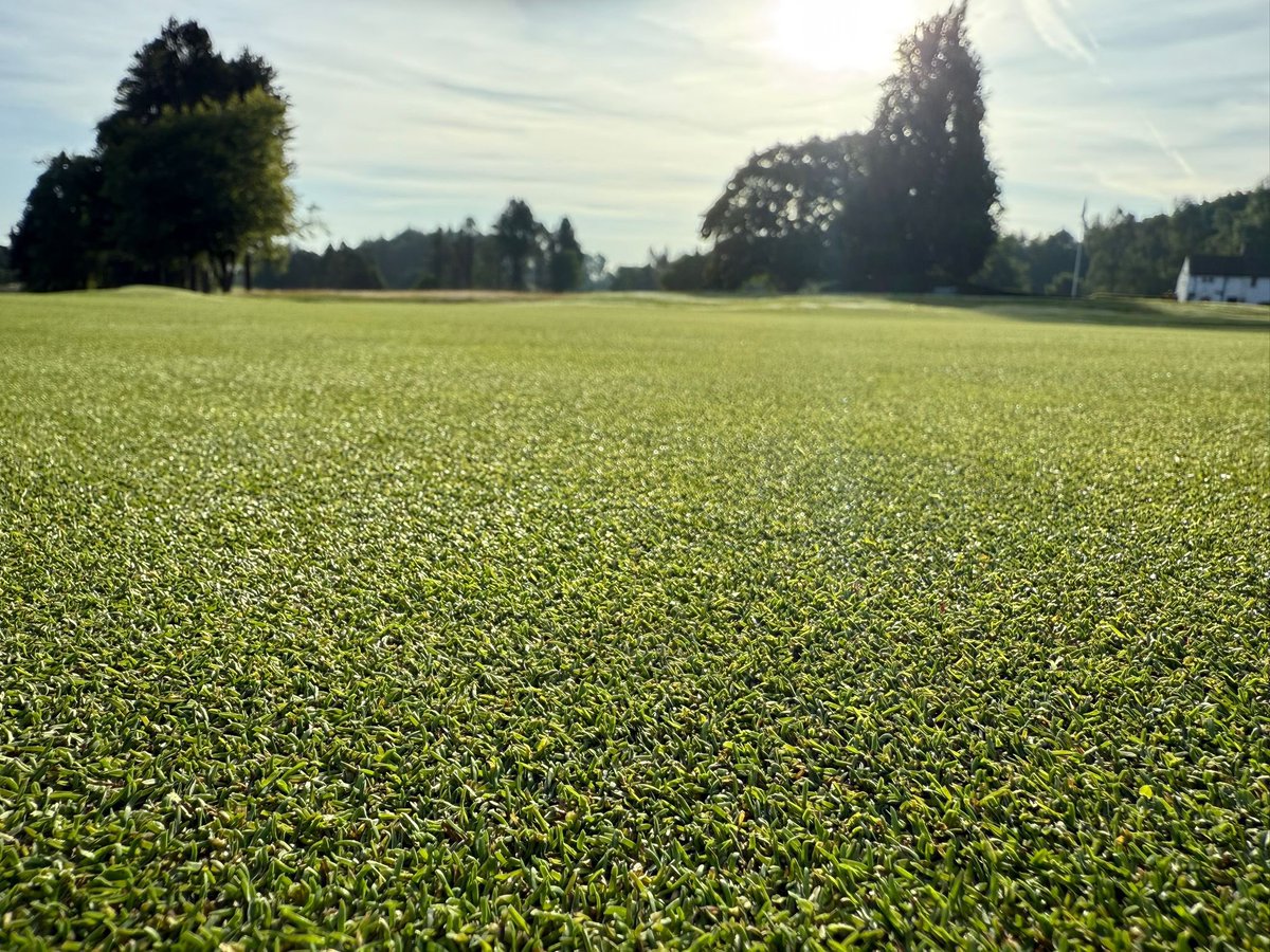 Another cracker of a day in the North West with surfaces looking excellent 👌 ☀️