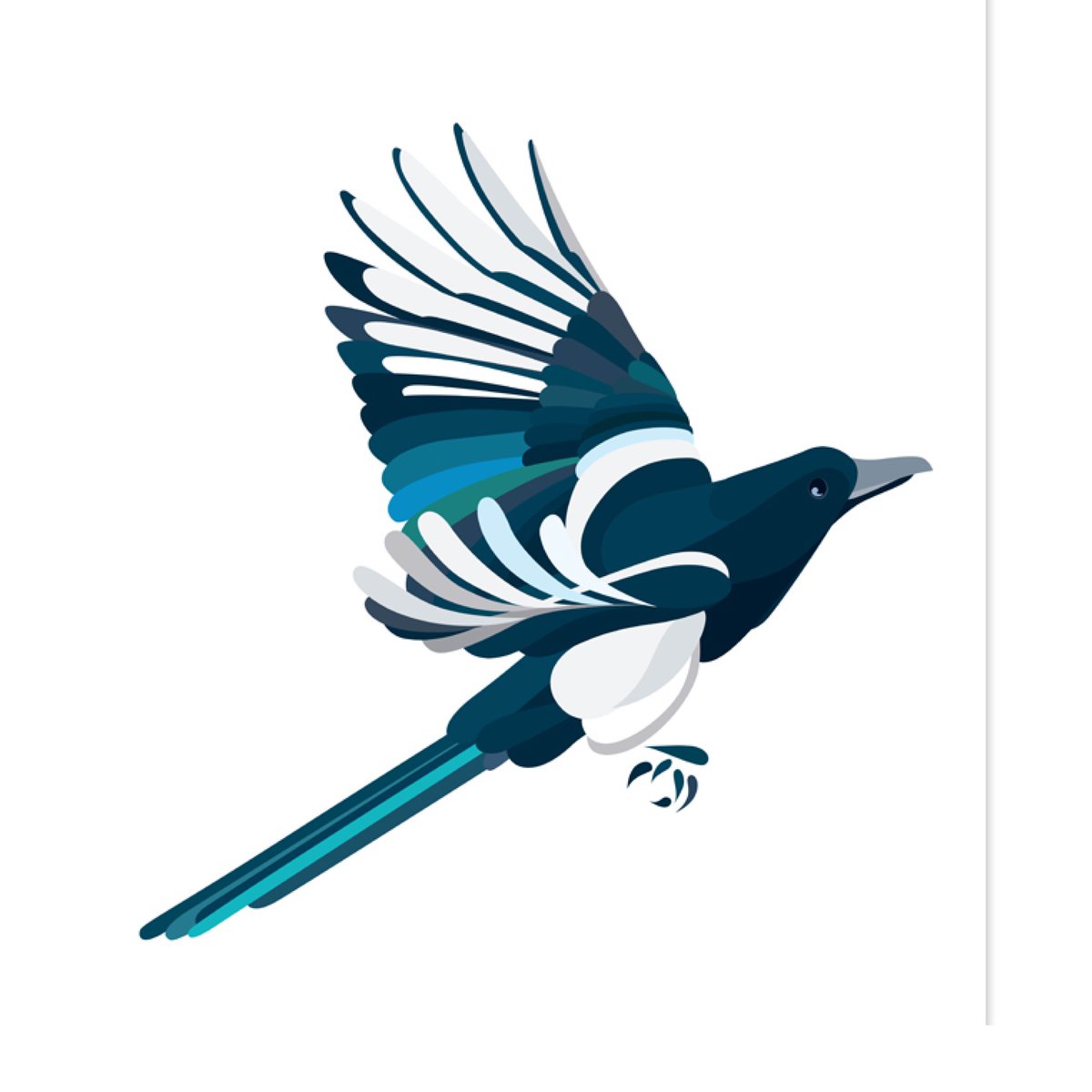 Ink_and_pixels's tweet photo. In 2013 I created these bird illustrations, had them printed, and sold them, donating some profits to the RSPB. It was rewarding to support a good cause. I do plan to do a second series, perhaps on British flowers, and welcome suggestions! https://t.co/x3kaaPHEGe https://t.co/YQO81Yig8H