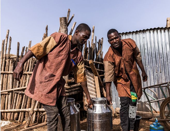 What happens when local ambition meets global expertise?

Through IFDC’s <a href="/SCALE_2/">2SCALE</a> project, we co-create solutions with partners like Koudijs, East-West Seed, FC WAMCO, &amp; Dutch poultry processors to drive food security &amp; inclusive growth.

Learn more: buff.ly/c9Jlao2