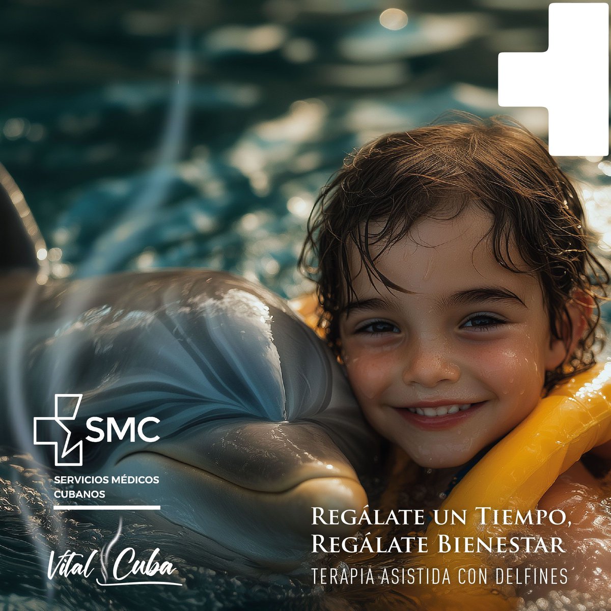 🐬 Bienestar en interacción con delfines: una experiencia única en Cuba.
15 días de terapias especializadas, alojamiento todo incluido y sesiones con delfines.
Una alianza entre Blue Wellness y Vital Cuba.

🔗 Más info: bit.ly/3GqURPT 

#TurismodeBienestar #Cuba
