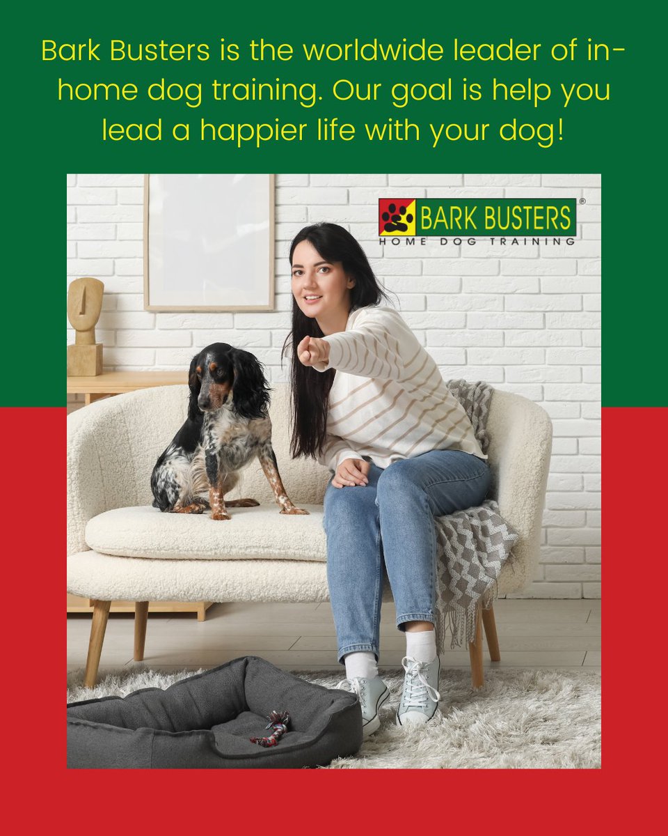 barkbusterla's tweet image. 🐾🎾 Real-world training in your real-life environment! From living room to front yard, we teach your dog where it matters most. 🐶🏠 barkbusters.com/dog-training/g… #EverydayTraining #DogBehaviorHelp