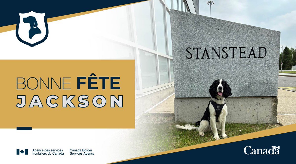 Bonne fête à Jackson, #ChienDétecteur de l’#ASFC, qui a célébré ses 2 ans aujour'dhui! Jackson est rempli d’énergie et adore son travail. Son flair aiguisé lui permet d’intercepter les drogues et les armes à feu au Canada. #ChiensAuBoulot #K9