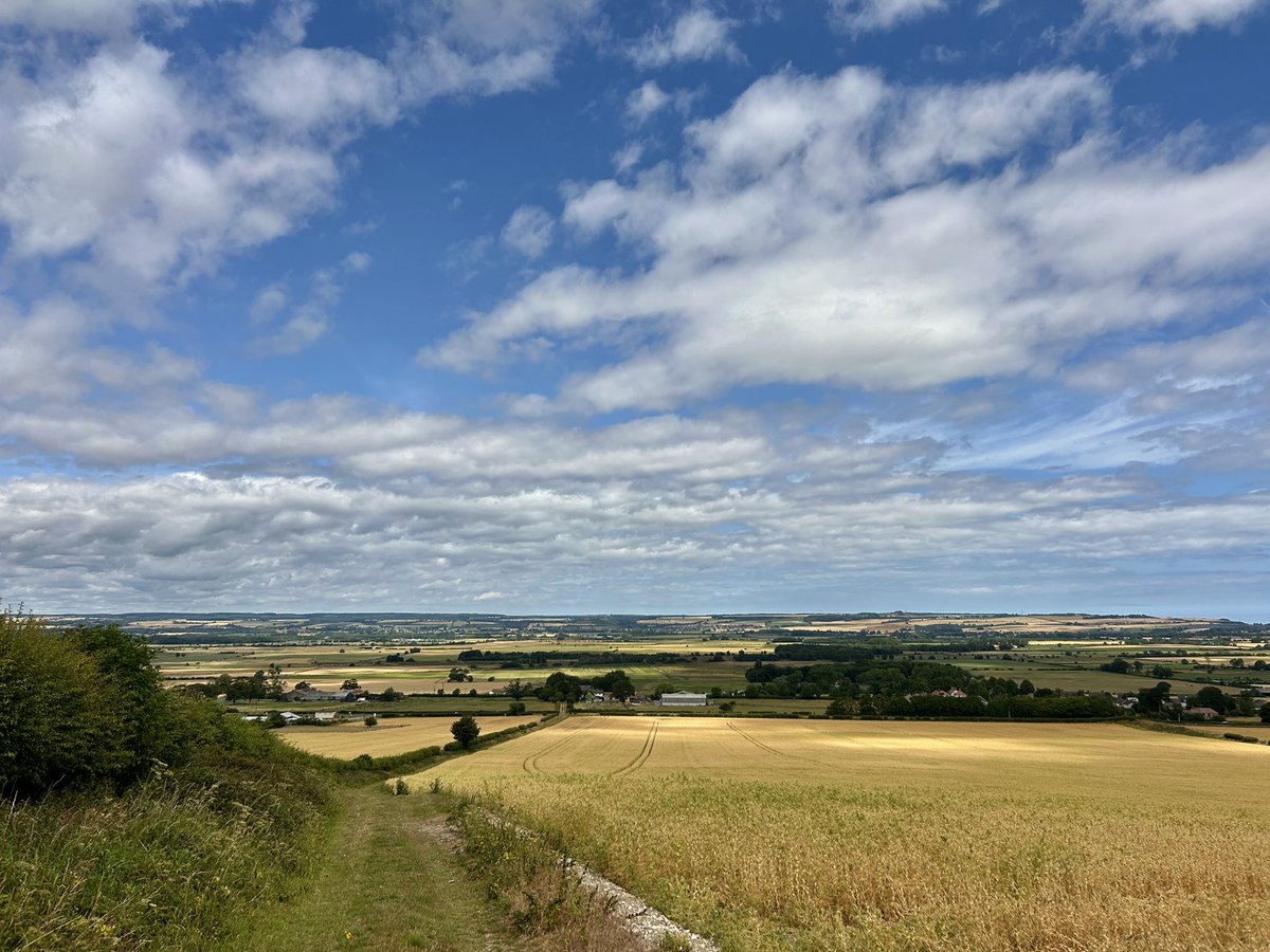 WeatherWolds's tweet image. Overlooking The Moors. 24°C and rather hot. Swallows.