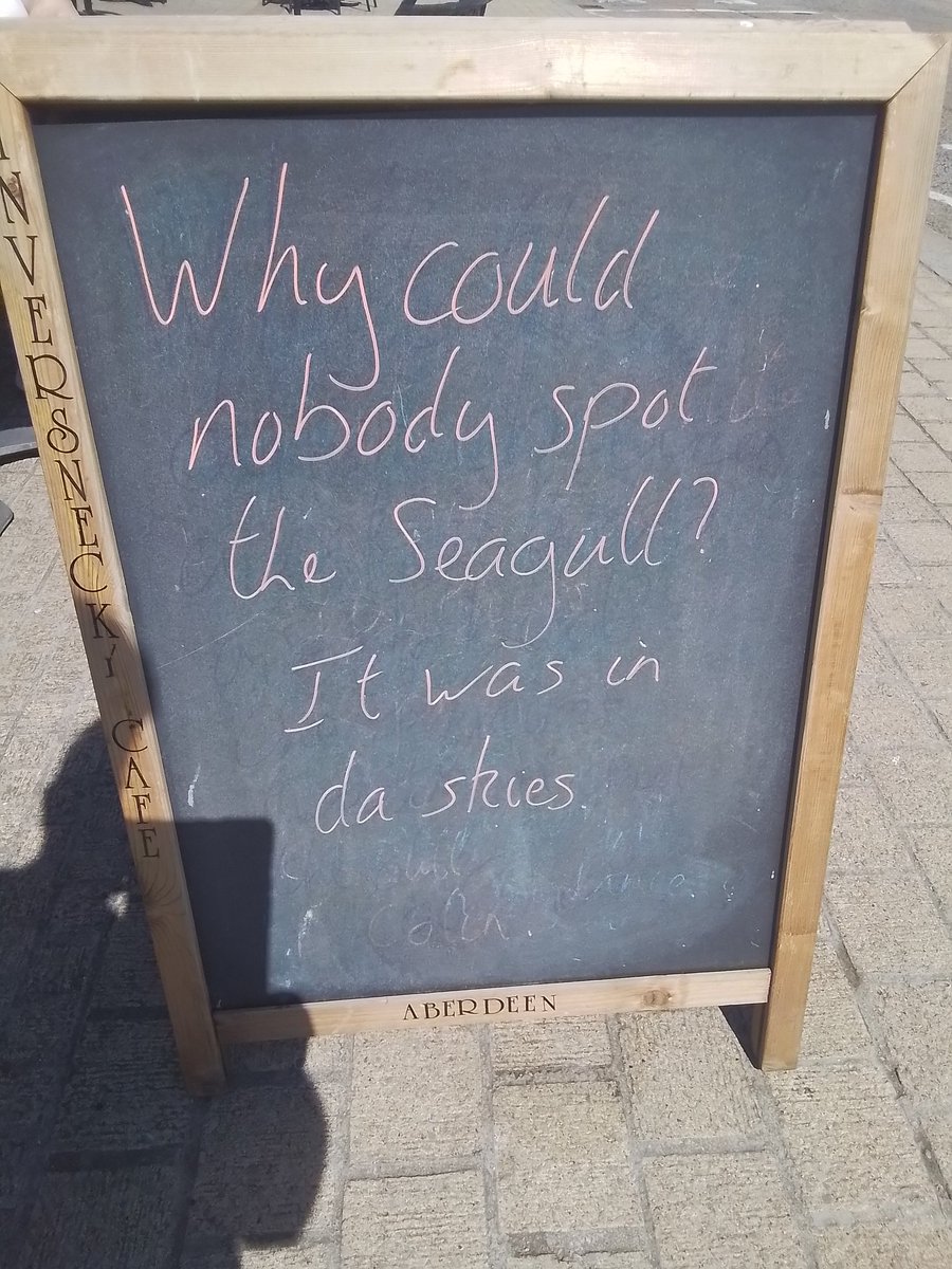 Mr_Inversnecky's tweet photo. Tr8cksy seagulls. #InversneckyCafe #Aberdeen #AberdeenBeach #inversnecky #Gulls #Birds #LunchPun #ThursdayFunny https://t.co/0RWORkJrFP