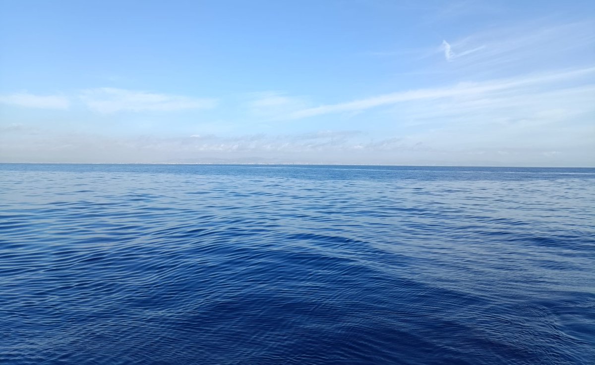 #CienciaCuriosa  🌊🧵Las expediciones que cambiaron nuestra forma de ver el océano ¿Sabías que solo conocemos un 10 % del fondo marino? Todo empezó con barcos, mapas... y una insaciable curiosidad humana. Aquí te cuento cómo nacieron la oceanografía y sus misiones más épicas 👇