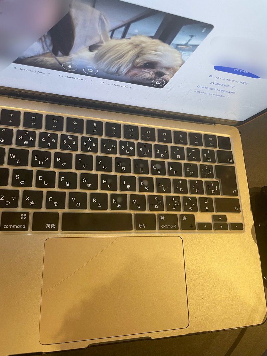 aba_mugi's tweet image. むぎ氏
「雷が怖くて会議に参加しようとしてた犬は私です🙋‍♂️」

膝から下ろしても登ってくるイッヌ