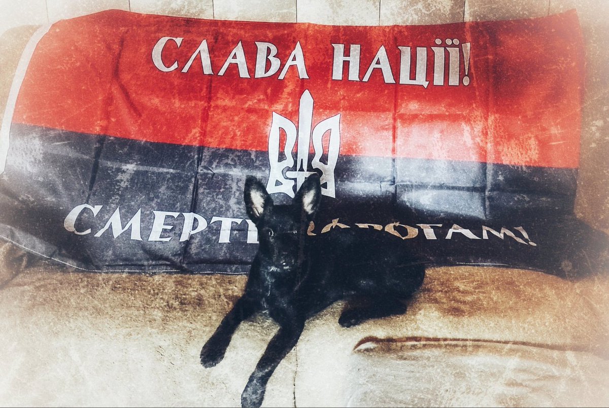 FELLApress's tweet image. FELLApress🗽

Наша дума, 
наша пісня Не вмре, 
не загине... 
От де, люде, наша слава, 
Слава України!
- Tarás Shevchenko.