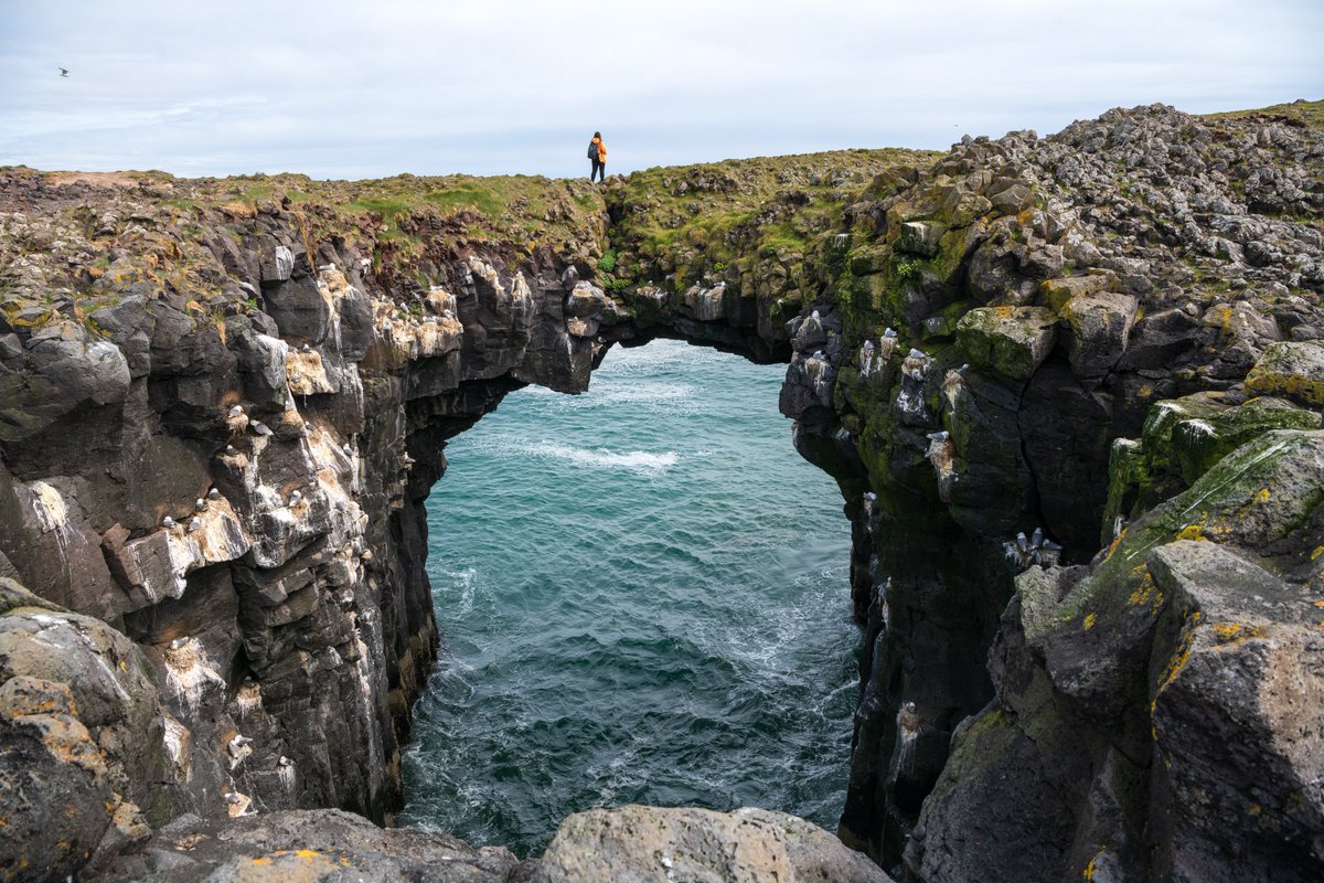 IcelandBus's tweet image. Tucked along the Snæfellsnes Peninsula, Arnarstapi feels like a page from a storybook. Jagged sea cliffs stretch into the Atlantic, carved by time and waves, while seabirds dance overhead in the salty breeze

📷 by IG: y.stories

#Iceland #Arnarstapi #Snæfellsnes