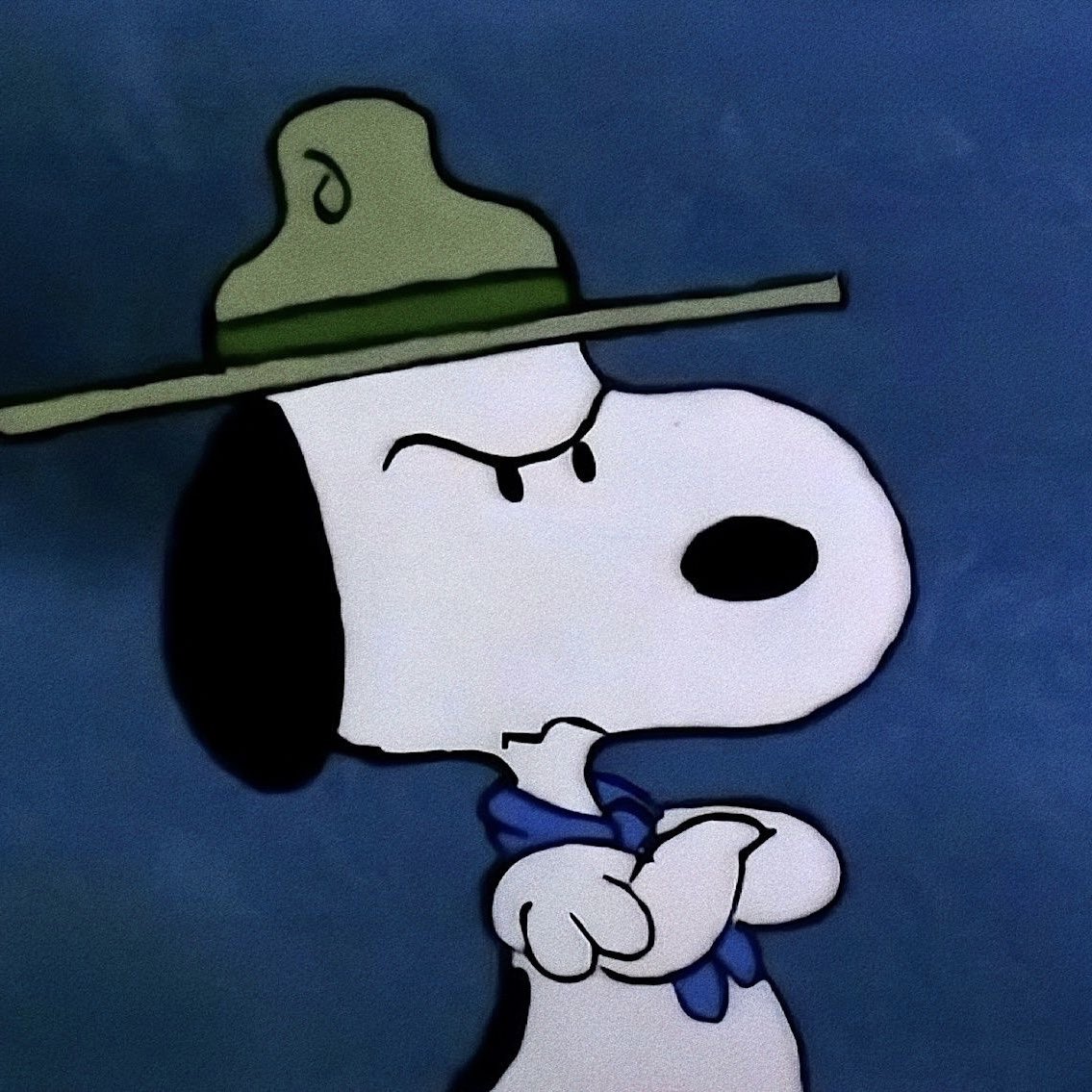 joekitsnoopy's tweet image. 😠