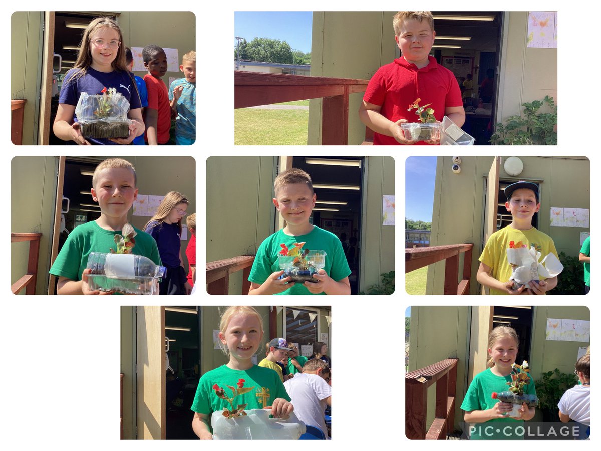 StDavidsCiWPrm's tweet photo. What a fantastic morning in Year 4, completing our STEM project, by creating an eco friendly greenhouse out of recycled materials! What excellent designs Year 4 ♻️👷👷‍♀️ #stdavidsciwSevern #stdavidsciwSTEM #stdavidsciwAmbitiousCapable https://t.co/mLpGH9j6N2