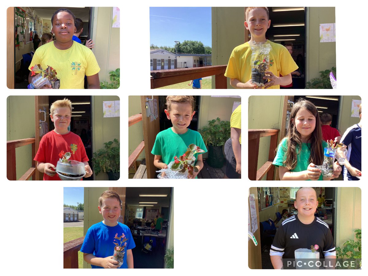 StDavidsCiWPrm's tweet photo. What a fantastic morning in Year 4, completing our STEM project, by creating an eco friendly greenhouse out of recycled materials! What excellent designs Year 4 ♻️👷👷‍♀️ #stdavidsciwSevern #stdavidsciwSTEM #stdavidsciwAmbitiousCapable https://t.co/mLpGH9j6N2