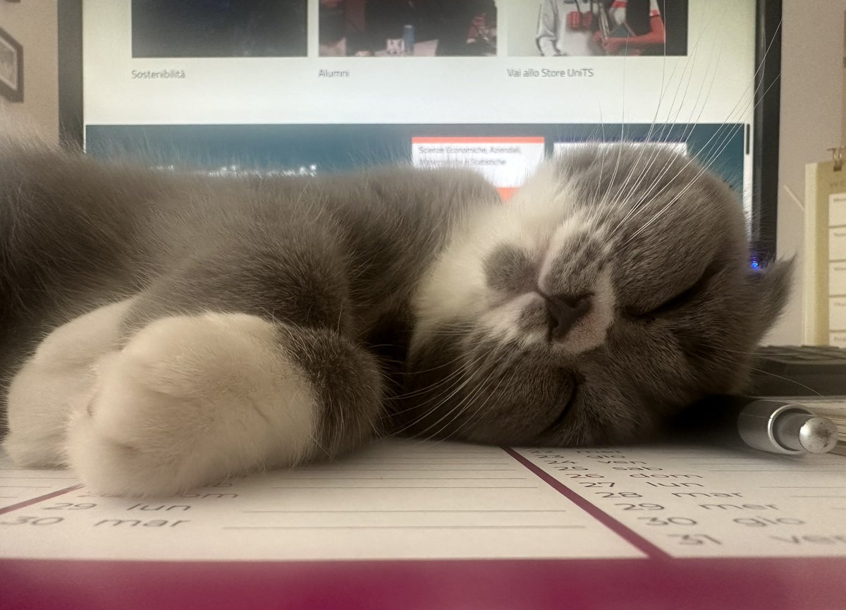 Dice che il Cat-Working verrà inserito nel contratto degli statali.