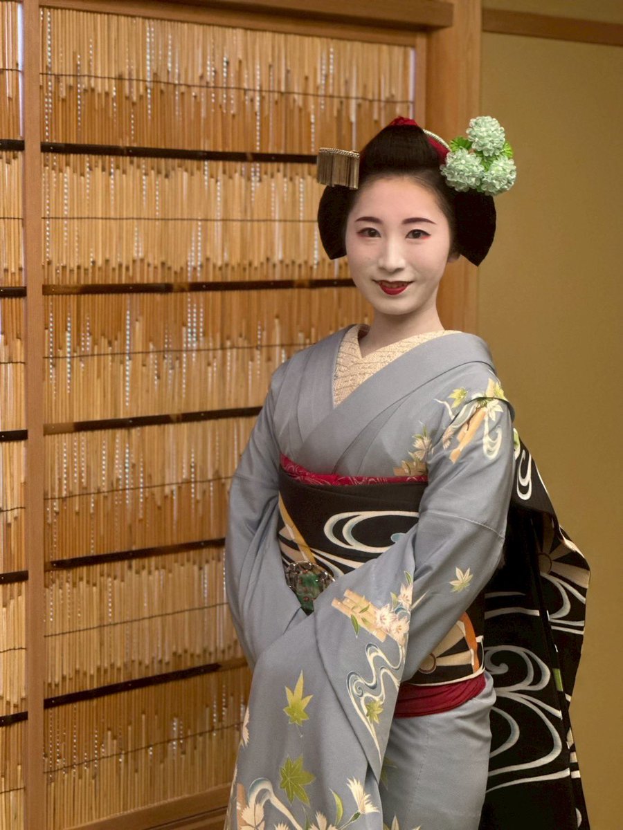 舞妓ページ Maiko Chizu | Ponto-cho Maiko : Chizu 先斗町舞妓 千鶴(ちず
