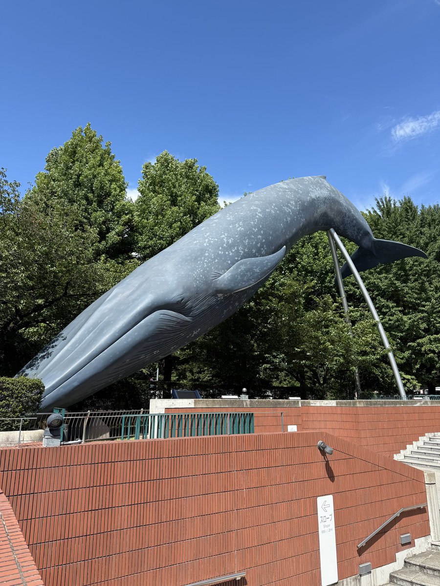 Alma_visited's tweet image. 今日は国立科学博物館へ
ハチ公とジロがいた