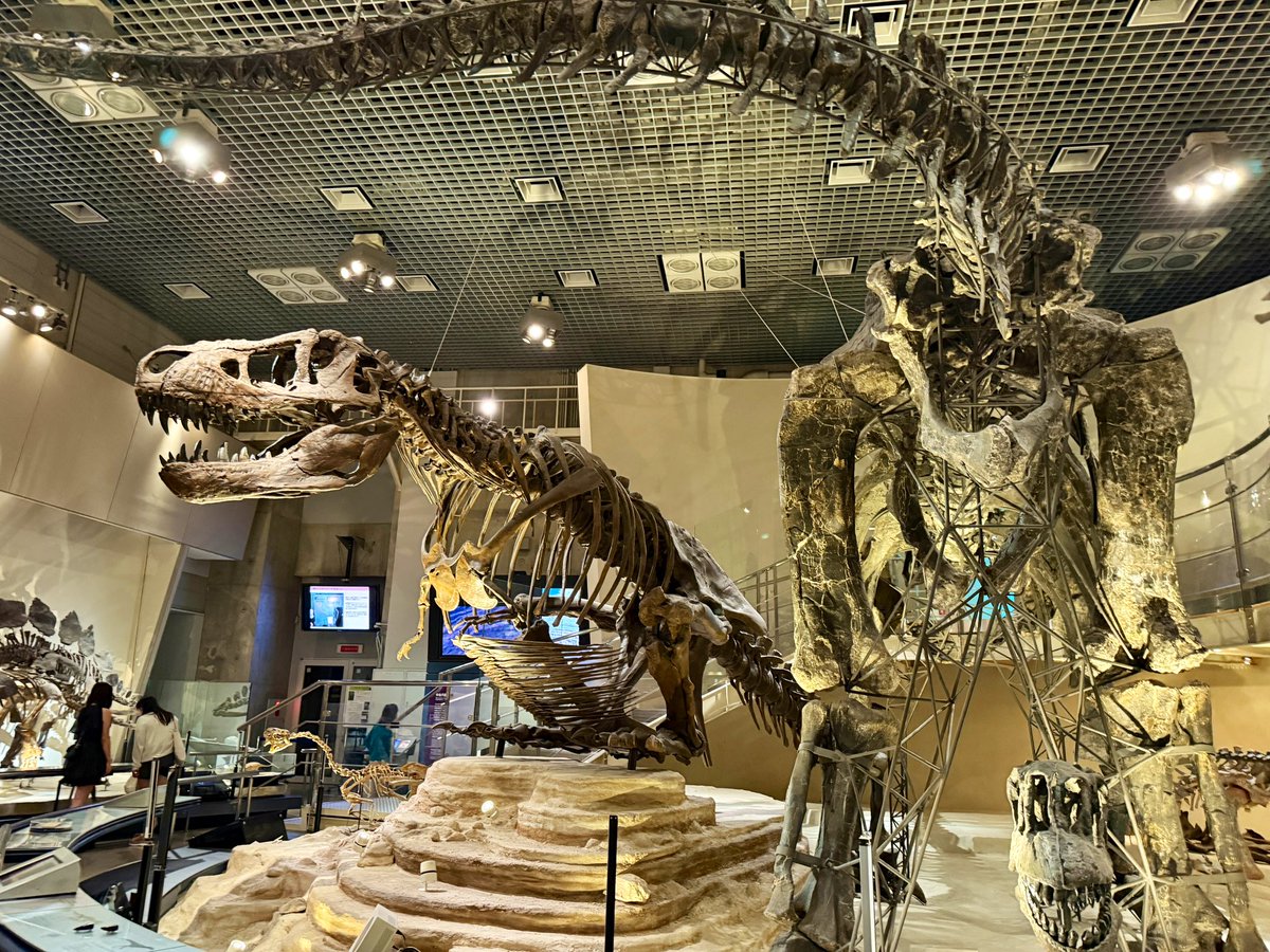 Alma_visited's tweet image. 今日は国立科学博物館へ
ハチ公とジロがいた