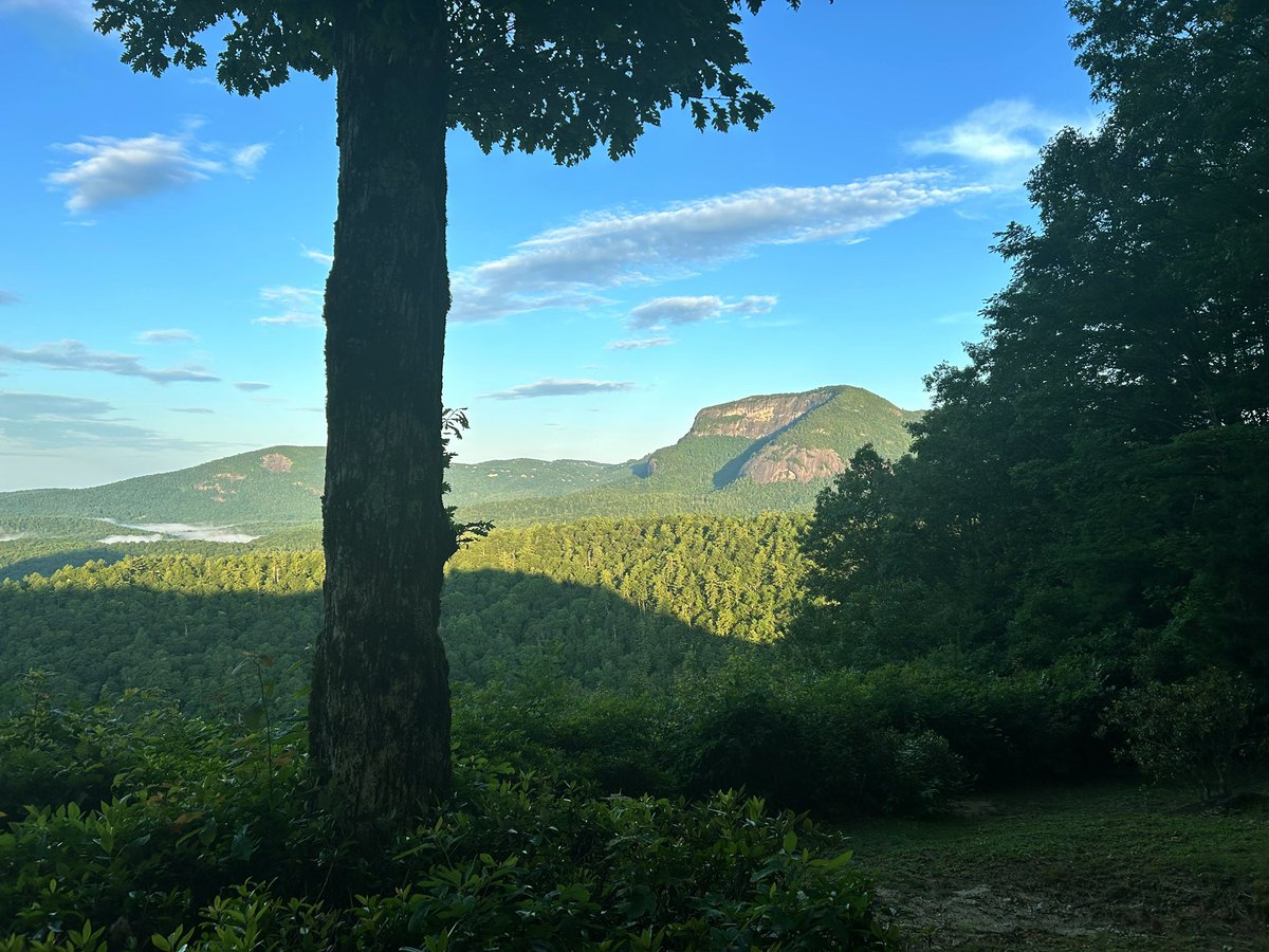 D_Frezza's tweet image. Great to be back near my Alma mater for a good mountain run.  Doing the work for the College in gods country 
#whitesideMnt  #Mountain2Sea