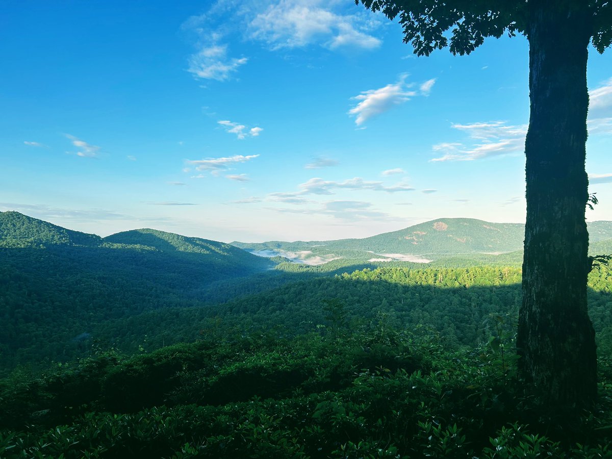 D_Frezza's tweet image. Great to be back near my Alma mater for a good mountain run.  Doing the work for the College in gods country 
#whitesideMnt  #Mountain2Sea
