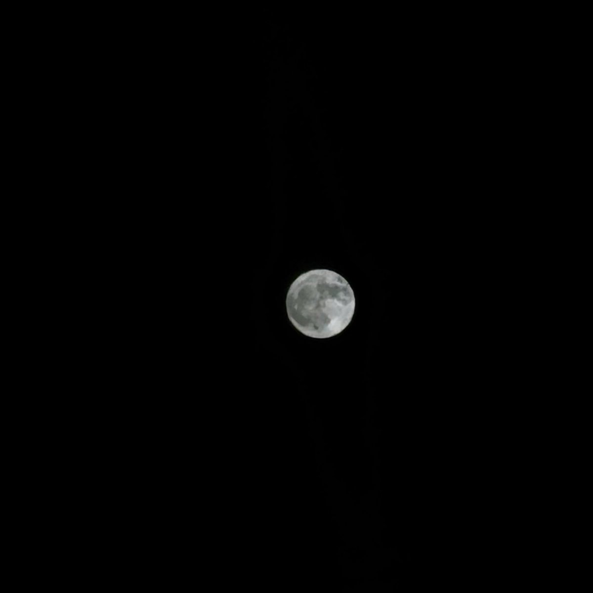 8251_aim's tweet image. あいみょん月が綺麗だよ
3枚目成功したよ🌕
@aimyonGtter