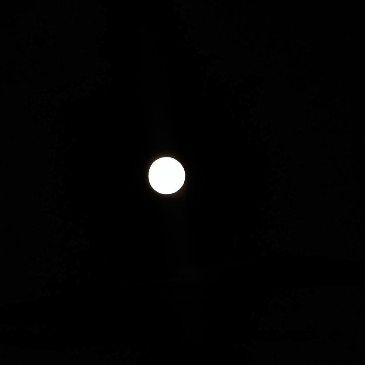 8251_aim's tweet image. あいみょん月が綺麗だよ
3枚目成功したよ🌕
@aimyonGtter