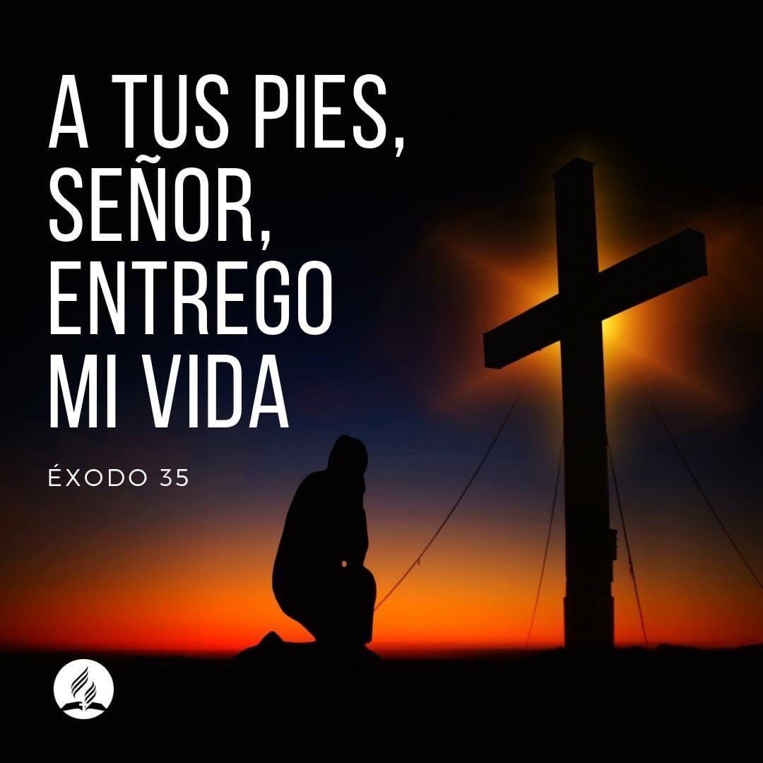 Éxodo 35

El trabajo para Dios debe hacerse con corazón voluntario.

Todos tienen algo que ofrecer para la obra del Señor.

El sábado sigue siendo señal de comunión y descanso con Dios.

#rpsp