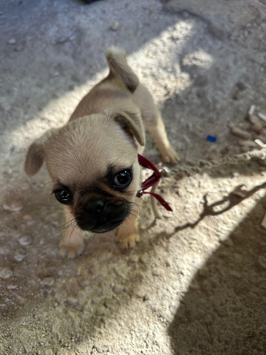 Mevsim-i harâret, nûr ile serfirâz olurken; her demde bir buse-i şems, gönlün seyrengâhına düşer.

#Akpınar
#SonKahvaltı
#Yaz
#Güneş