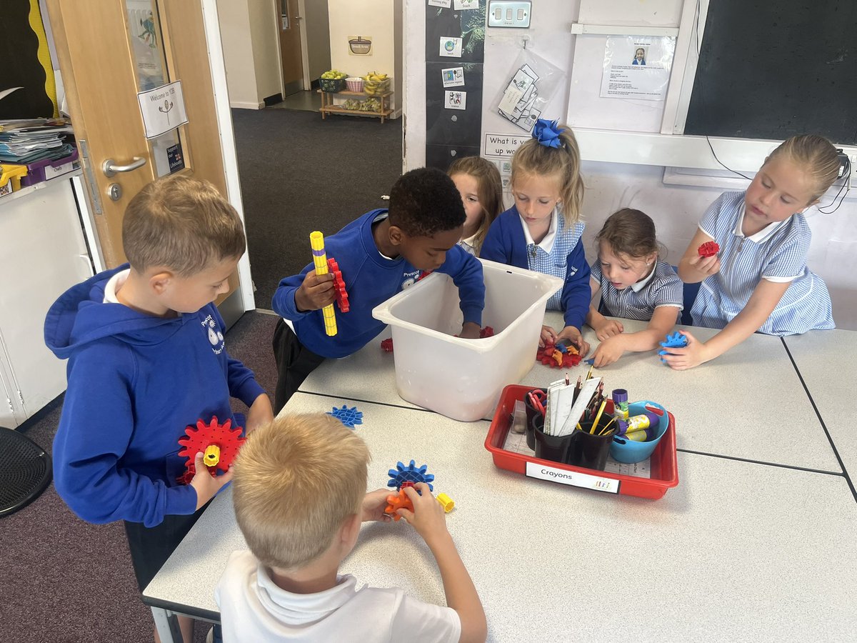 PCP Swans 🦢 (Year 2) tweet media