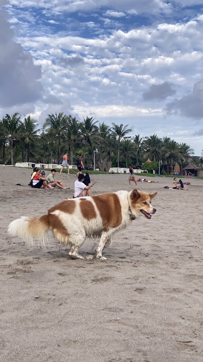 chrissjee's tweet photo. Happy birthday for us @Dbenery 🎉🥳
Cheers to more makan siomay di pinggir pantai moment &amp; impromptu trips 🍻 https://t.co/ddELDlpL8J