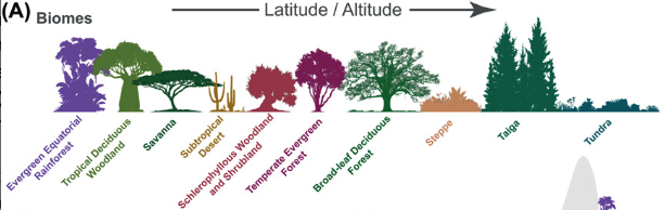 We built a multivariate map of diet space—what we call the “trophic niche”—for all these species.
Then we projected it across ten global biomes:
from lush tropical forests to frozen tundra.
How full is the dietary space in each biome?
And who’s filling it?