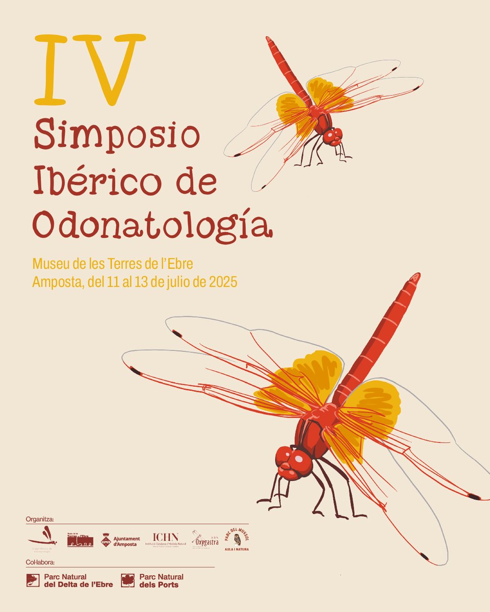 museuterresebre's tweet photo. ACOLLIM AL MUSEU EL IV SIMPOSIO IBÉRICO DE ODONATOLOGÍA
☑️El Simposi és el punt de trobada dels estudiosos de les libèl·lules d'Espanya i Portugal
☑️Les TTEE acullen una gran biodiversitat de libèl·lules? En podem trobar 50 espècies diferents, el 60 % de les citades a España https://t.co/tIqgO9ejbW
