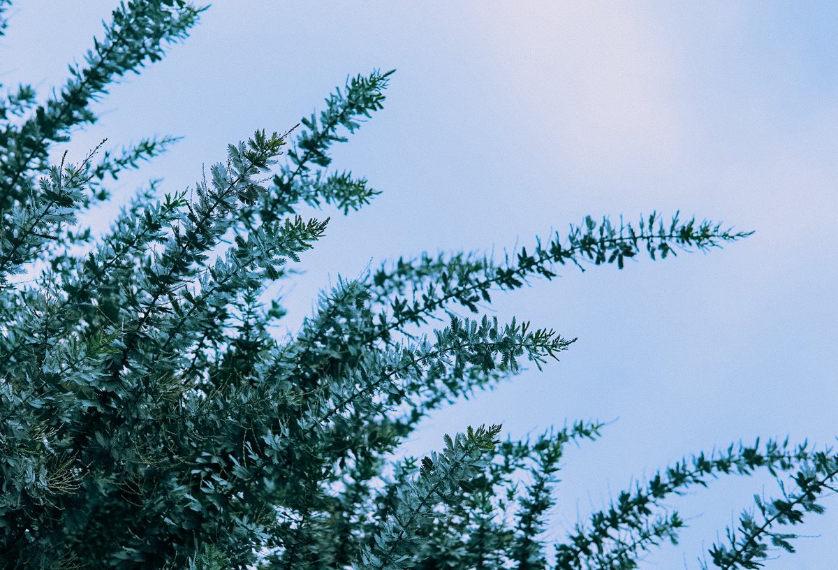 a.kyosuke tweet media