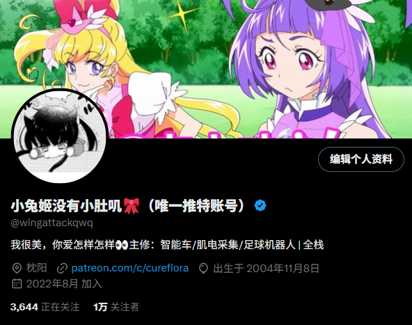 wingattackqwq's tweet image. 更新一下主页~