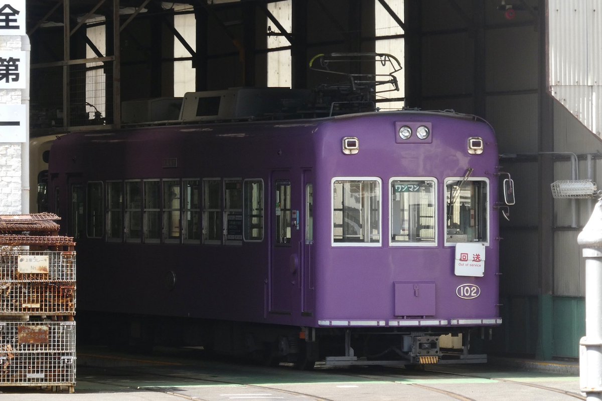 【匿名配送】③アガべ　太陽神錦　白中斑　TC 錦鯉販売 錦鯉通販 錦鯉ネット販売 野池揚がり！ 銀白 42cm BNY