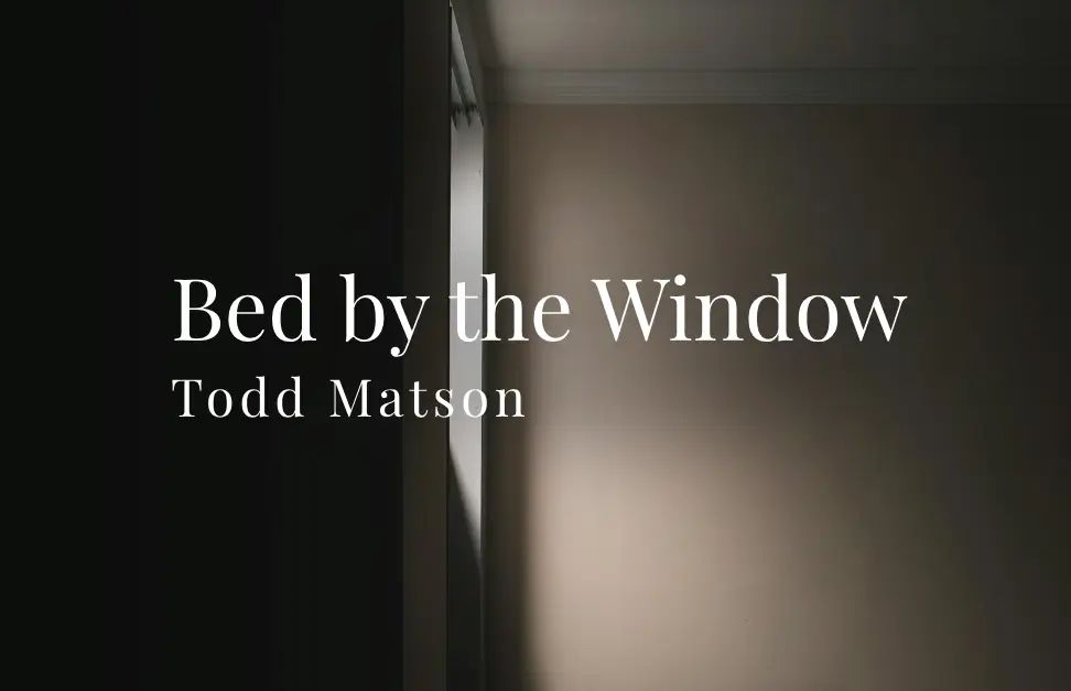 Bed by the Window by Todd Matson 

#DirtyRealism #Poetry #readingcommunity #goodreads #publishingcommunity #bristolnoir

bristolnoir.co.uk/bed-by-the-win…