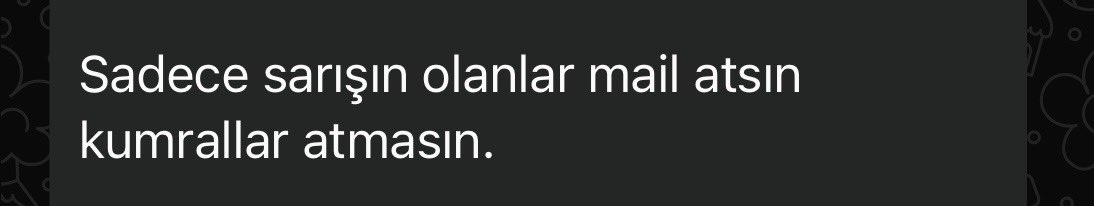 Simay Ergin tweet media