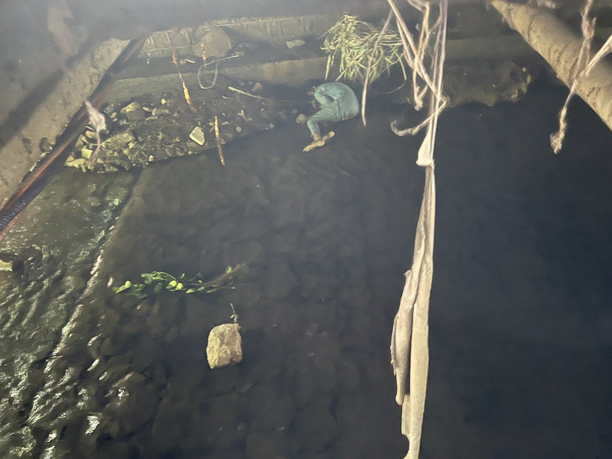journobazai's tweet image. #graphiccontent 
A dead body of an unknown person was found in a water stream on Hakeen Luqman Road, G-6, Islamabad.