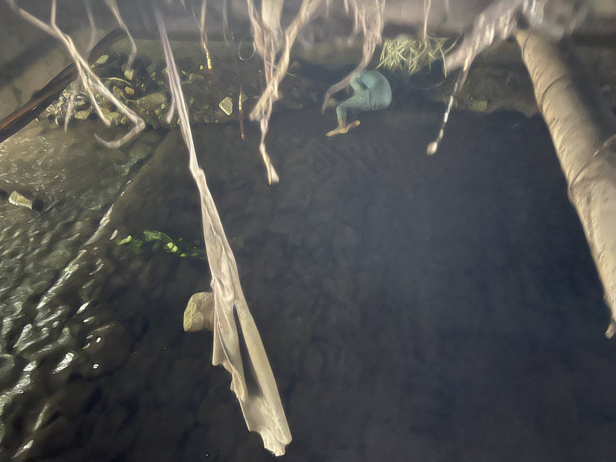 journobazai's tweet image. #graphiccontent 
A dead body of an unknown person was found in a water stream on Hakeen Luqman Road, G-6, Islamabad.