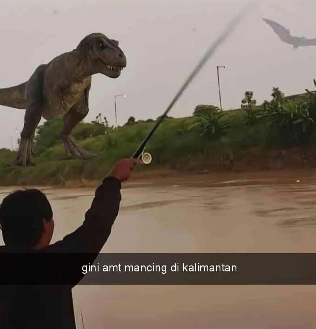 qrivasi's tweet image. 