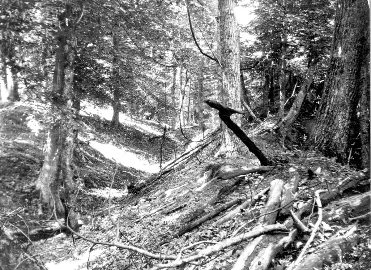 USGS_Quakes's tweet image. Photography hadn't been invented when the 1811-1812 New Madrid earthquakes struck, but dramatic signatures of these powerful quakes, including landslides in Chickasaw Bluffs, were still visible when USGS geologist Myron Fuller visited the area circa 1900.
ow.ly/pENu50WmYRY